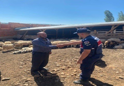 Konya’da Kayıp Küçükbaş Hayvanları Jandarma Buldu