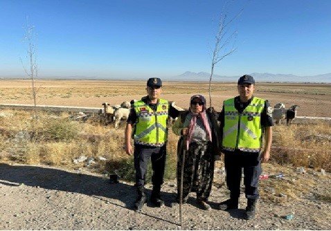 Konya’da Kayıp Küçükbaş Hayvanları Jandarma Buldu