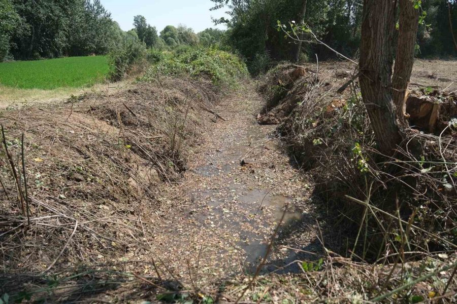 Sivrihisar İlçe Merkezi Ve Kırsal Bölgelerde Yürütülen Çalışmalar