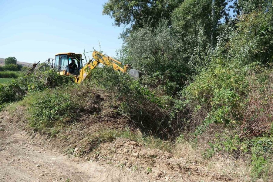 Sivrihisar İlçe Merkezi Ve Kırsal Bölgelerde Yürütülen Çalışmalar