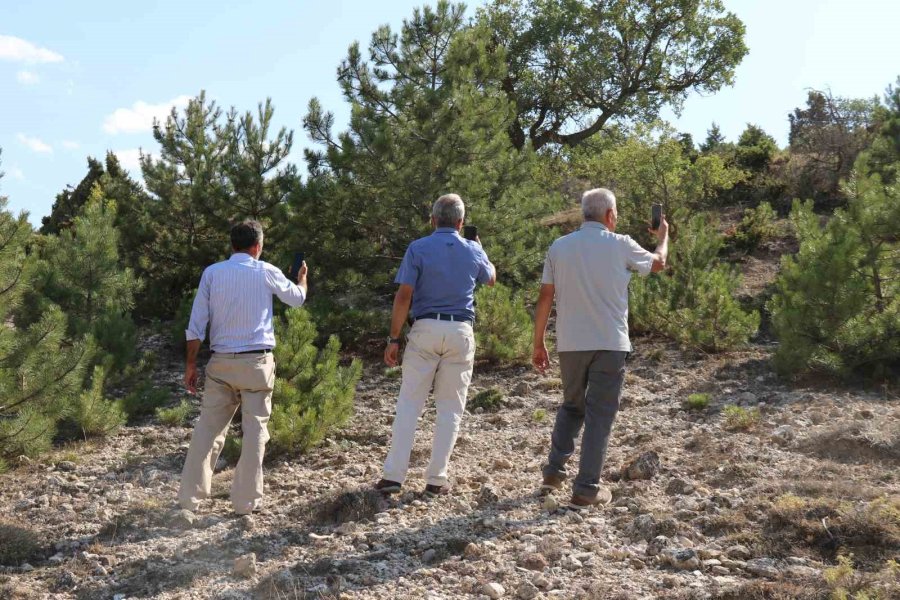 Yangını Zamanında İtfaiyeye Haber Veremeyince Hasat Ettiği Ürünler Kül Oldu