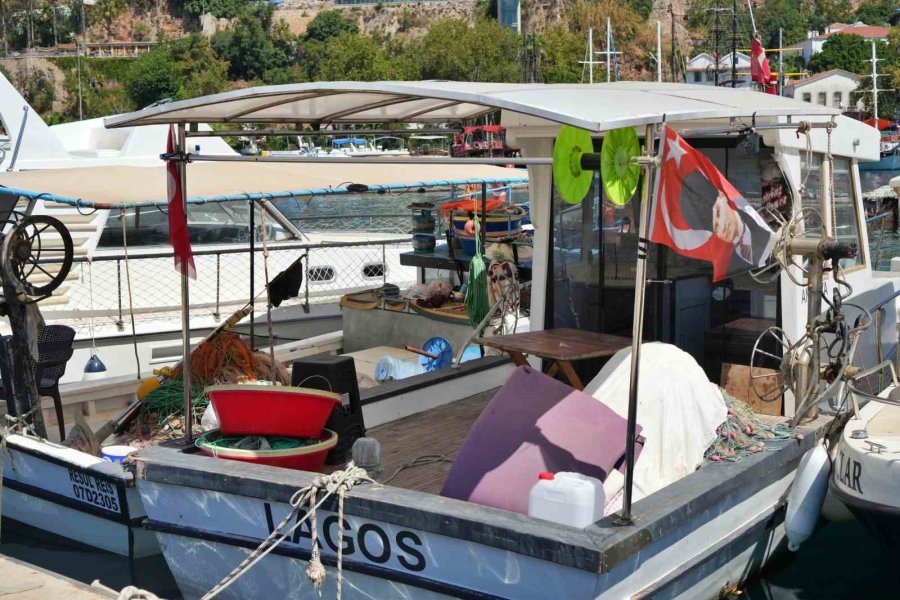 Antalya’da Rekor Sıcaklık Denizdeki Balık Türlerini Ve Omurgasız Canlıları Yok Ediyor