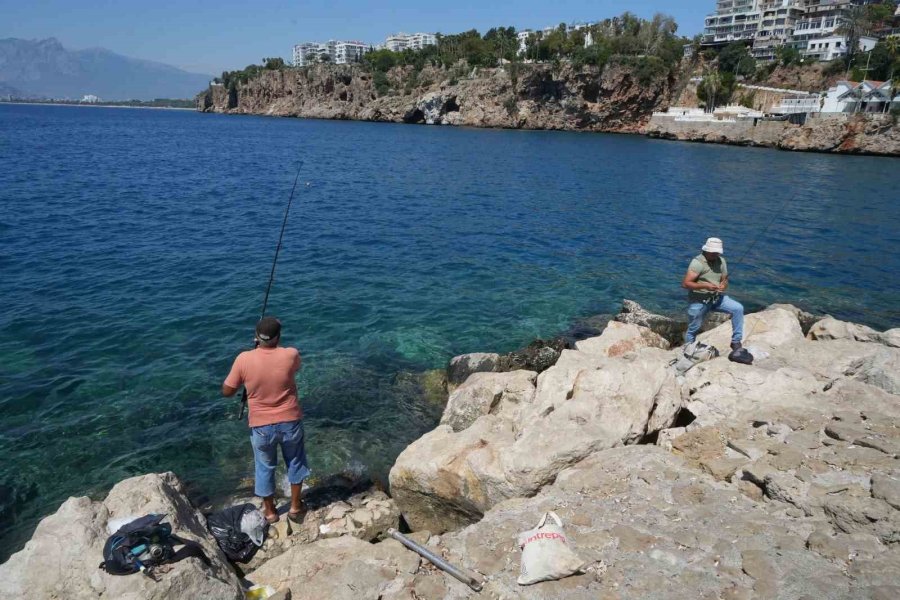 Antalya’da Rekor Sıcaklık Denizdeki Balık Türlerini Ve Omurgasız Canlıları Yok Ediyor