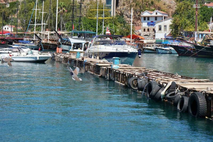 Antalya’da Rekor Sıcaklık Denizdeki Balık Türlerini Ve Omurgasız Canlıları Yok Ediyor