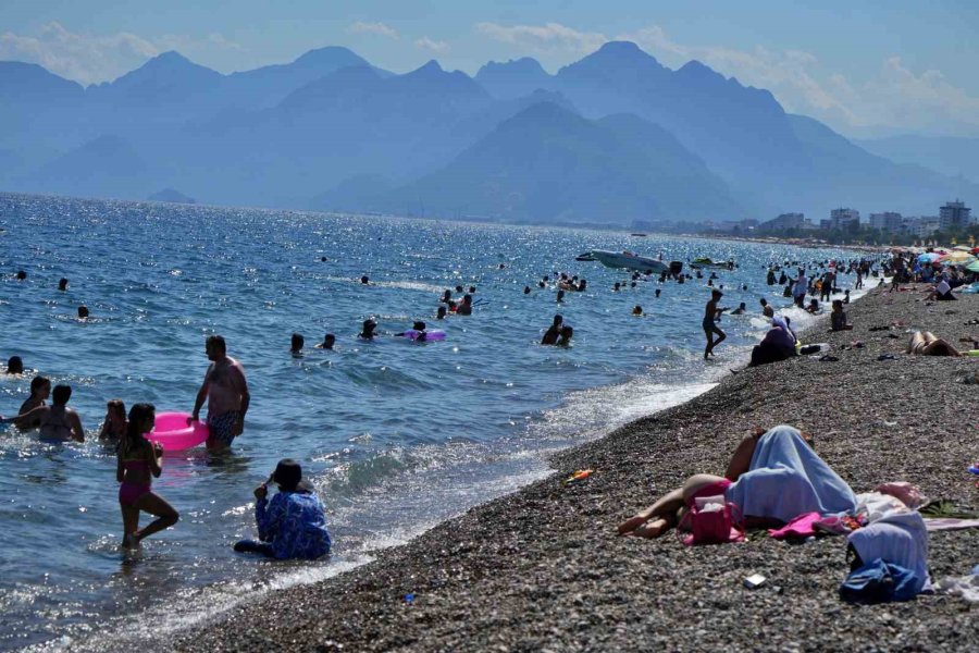 Antalya’da Rekor Sıcaklık Denizdeki Balık Türlerini Ve Omurgasız Canlıları Yok Ediyor