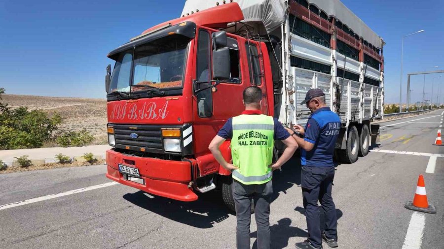 Niğde Belediyesi Ekipleri Kayıt Dışıyla Mücadelesini Sürdürüyor