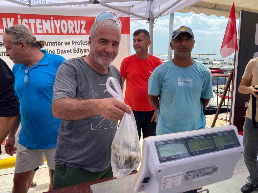 Antalya’da İstilacı Balon Balığı Avlama Yarışması