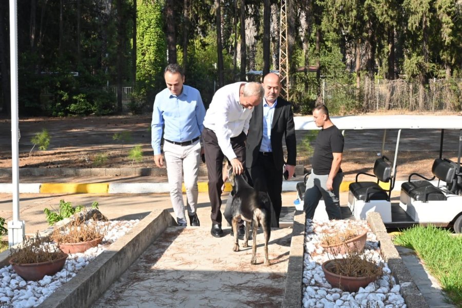 Başkan Kocagöz, Eski Mke Pil Fabrikası Yerleşkesini İnceledi