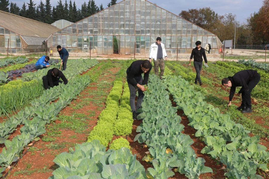 Türkiye’nin En Çok Tercih Edilen Ziraat Fakültesi Aü’den