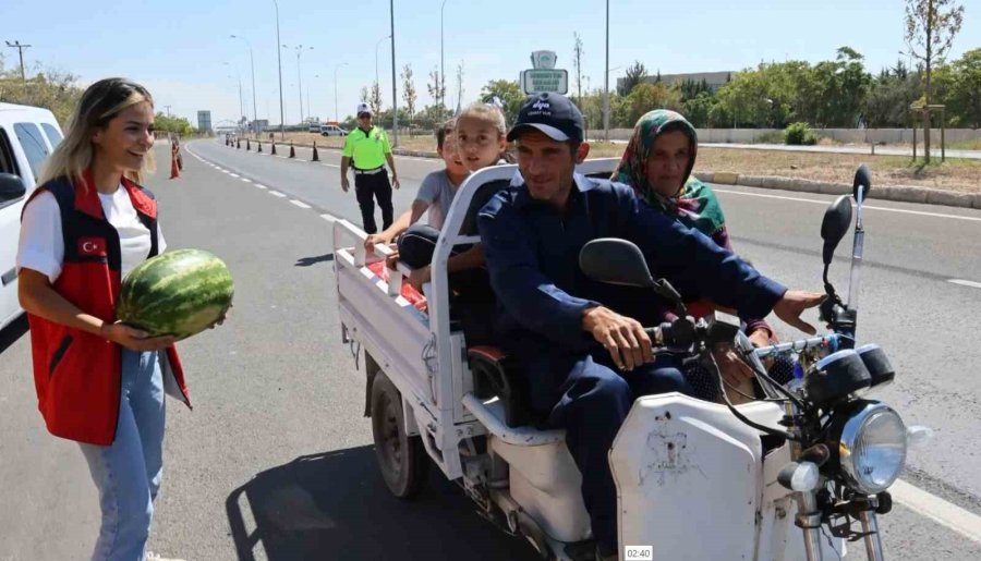 Tarladan Tonlarca Karpuz Toplayıp Dağıttılar