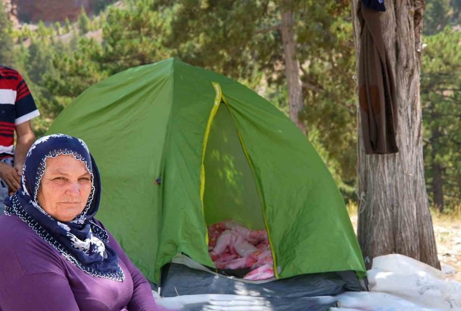 Karboğazı Çevre Festivali, 10 Bin Kişinin Katılımıyla Gerçekleşti