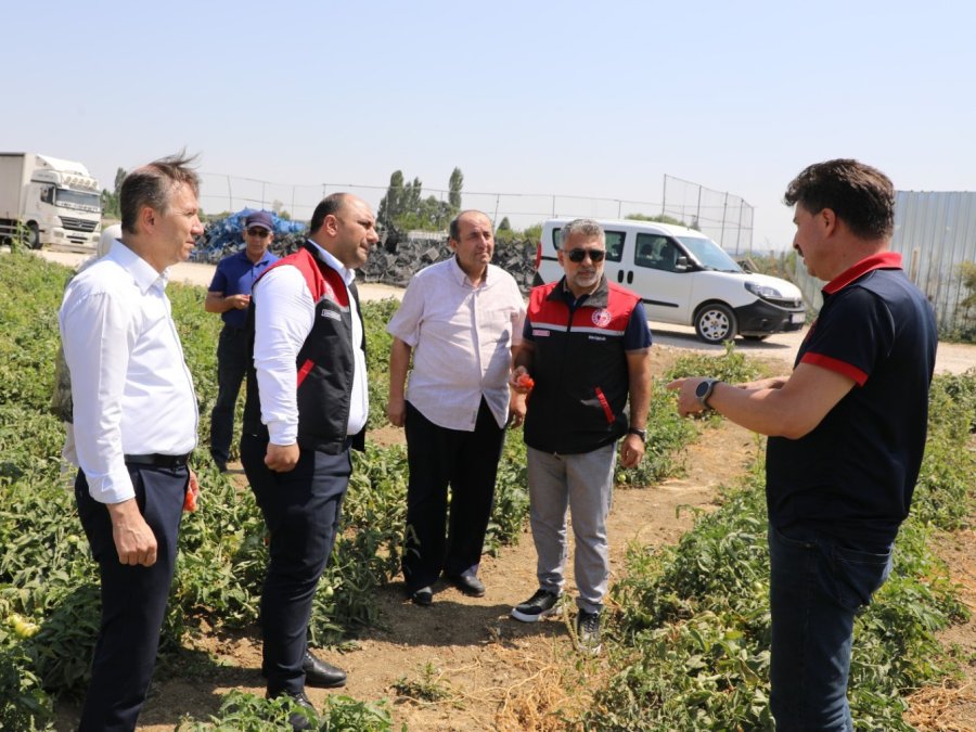 Eskişehir’de Tarımsal Üretimin Planlama Toplantıları Devam Ediyor