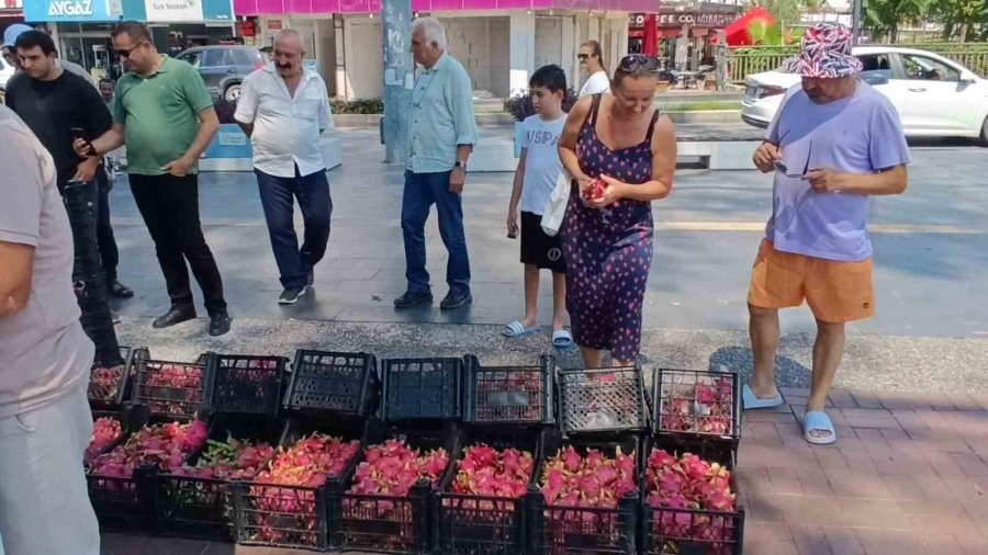 Aracılara Kızan Üretici 2 Bin Adet Ejder Meyvesini Bedava Dağıttı