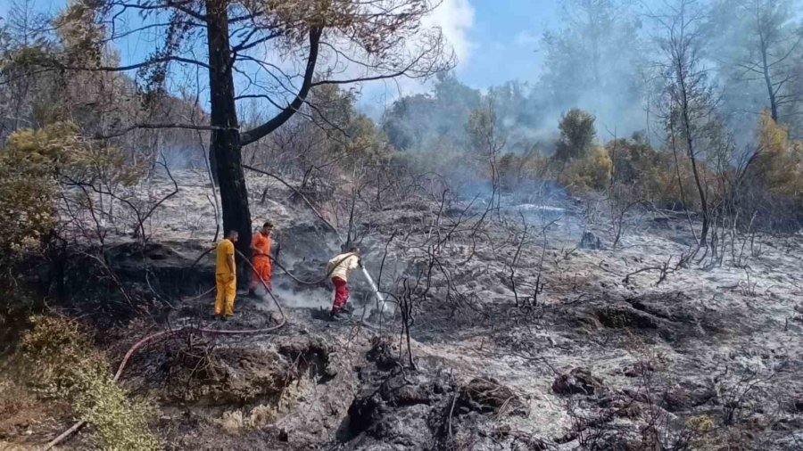 Antalya’da Tarım Arazisi Yandı, 3 Sera Zarar Gördü