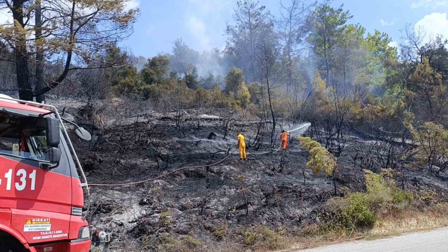 Antalya’da Tarım Arazisi Yandı, 3 Sera Zarar Gördü