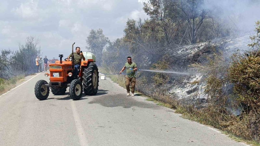 Antalya’da Tarım Arazisi Yandı, 3 Sera Zarar Gördü