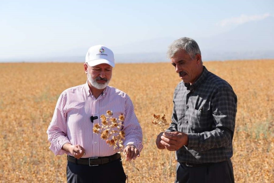 Başkan Çolakbayrakdar, “tarımda Da Kocasinan Farkı Ve İmzasını Atıyoruz”