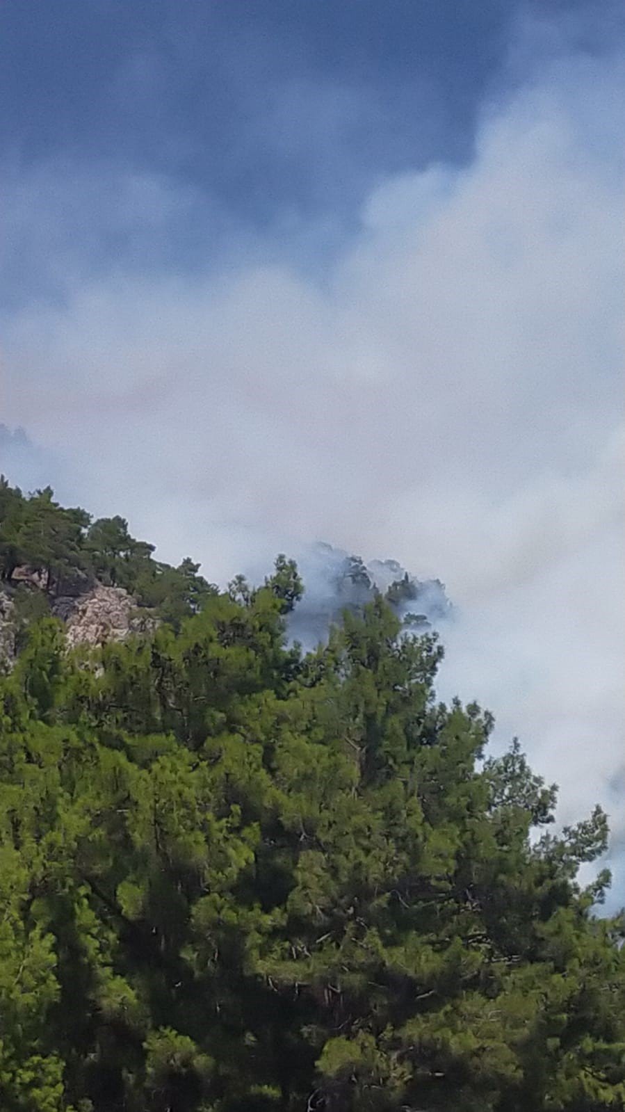 Kumluca’da Orman Yangını