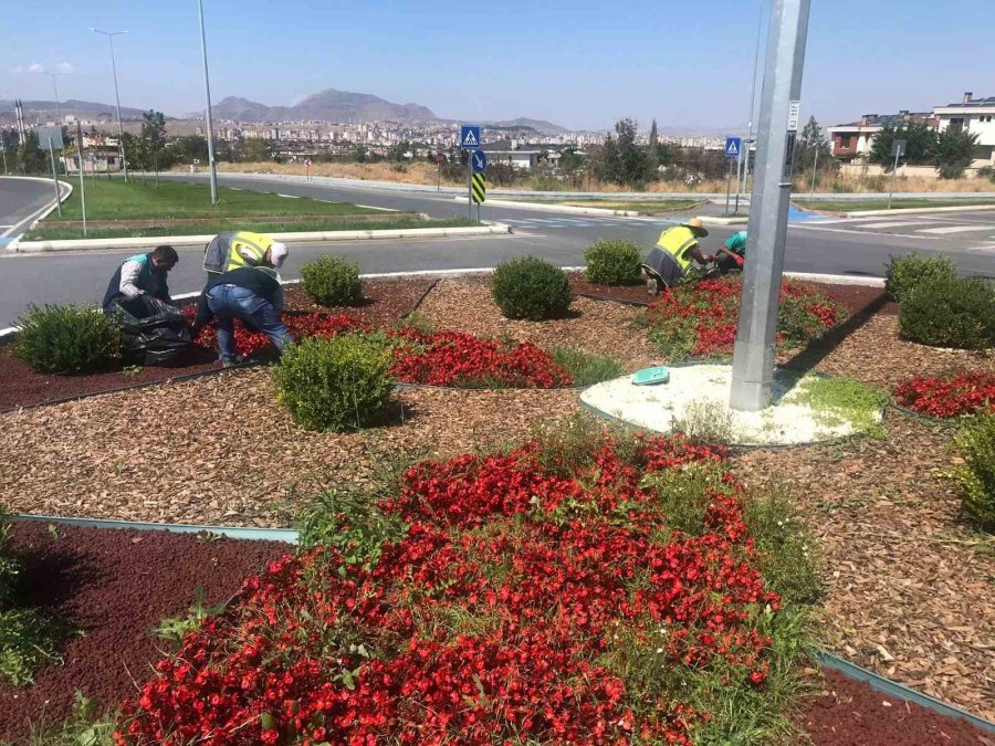 Büyükşehir, Yabancı Otlarla Mücadele Ve Bakım Çalışmalarına Hız Verdi