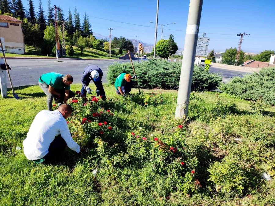 Büyükşehir, Yabancı Otlarla Mücadele Ve Bakım Çalışmalarına Hız Verdi