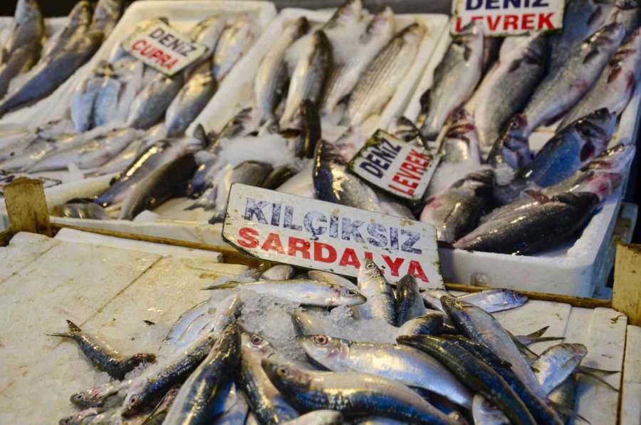 Balık Fiyatlarında Düşüş Başladı