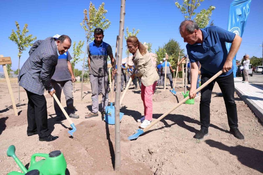 Odunpazarı’ndan Sevgi Ormanı