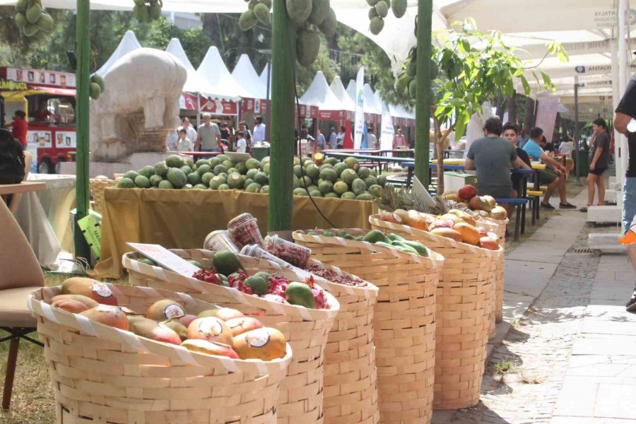 Karaalioğlu Parkı’nda Foodfest Rüzgarı: Son Gününde Yoğun İlgi Gördü