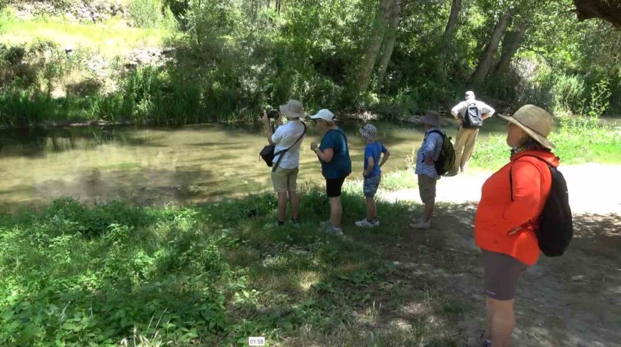 Dünyanın En Büyük 2. Kanyonu Ihlara Vadisi Ziyaretçilerini Ağırlıyor