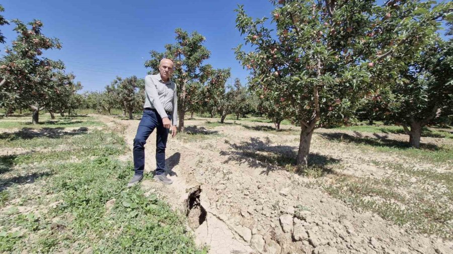 Elma Bahçesinde Oluşan 100 Metrelik Yarık Korkuttu