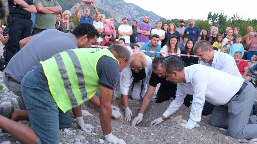 Çıralı’da Caretta Caretta Rekoru