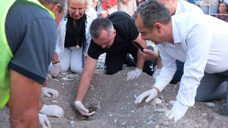 Çıralı’da Caretta Caretta Rekoru