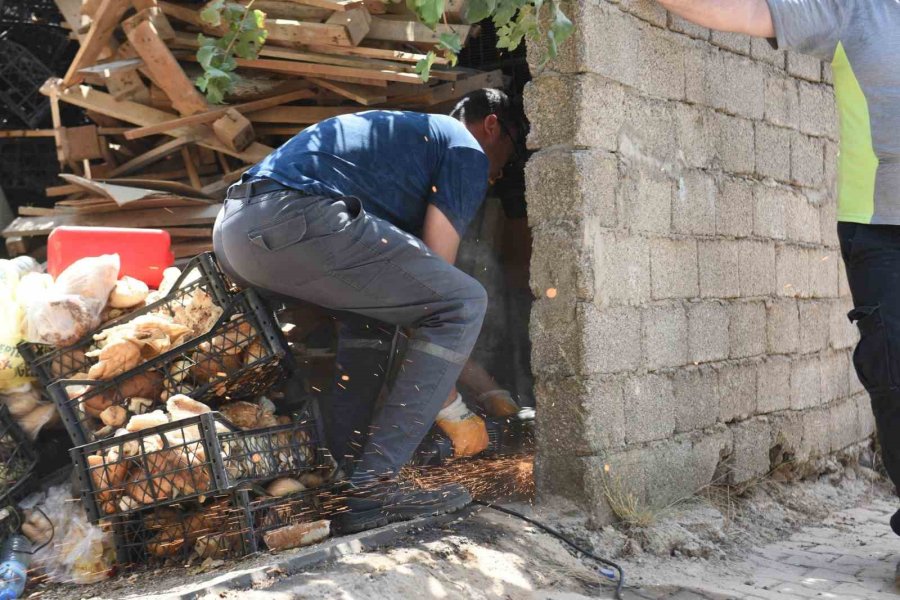 Etrafı Duvarlarla Çevrili Eve Giren Ekipler Hayatının Şokunu Yaşadı