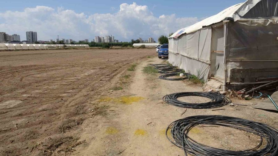 Tarladaki Konteynerde Yaşayan Adam Ölü Bulundu