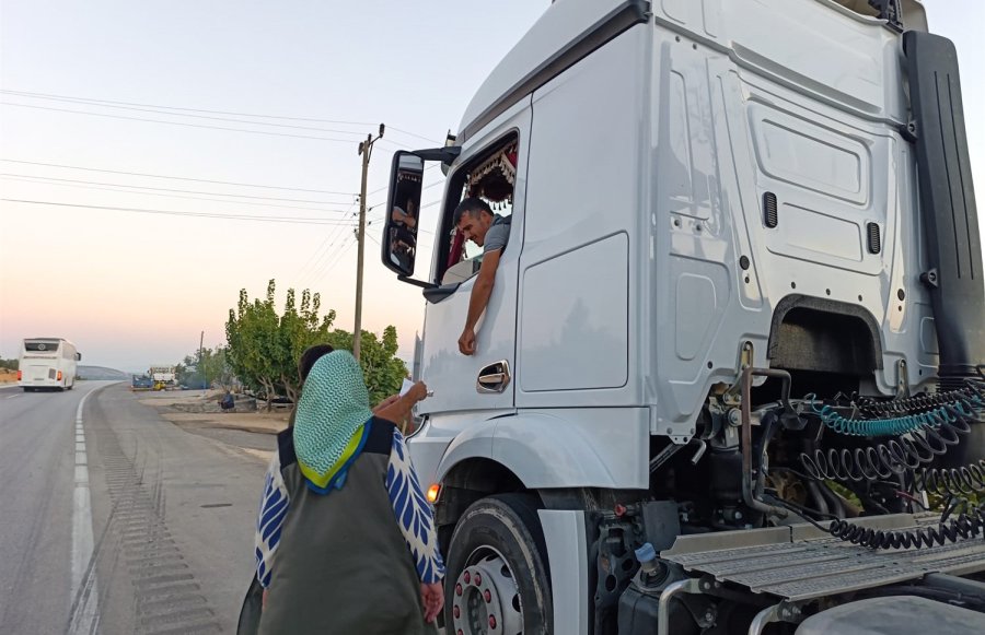 Mersin’de Orman Suçlarına Karşı Denetimler Sürüyor