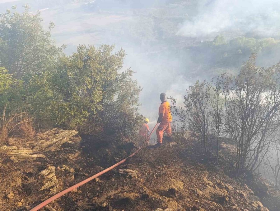 Antalya’da Orman Yangını