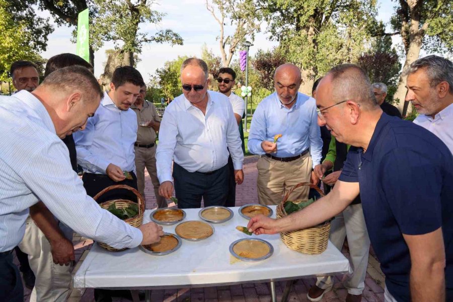 Pekmez Ve Bulgur Kaynatma Etkinliği İçin Meram Bağı’nda Üçüncü Kez Kazanlar Kuruldu