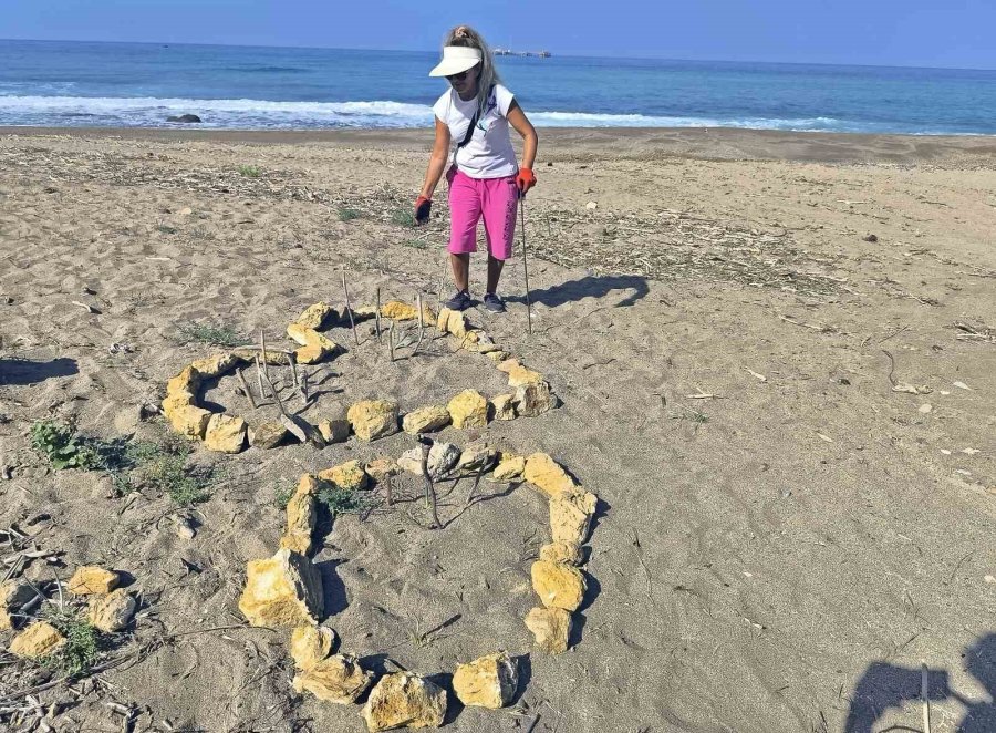 Alanya’da Koparılması 387 Bin Tl Ceza Olan Kum Zambakları Koruma Altına Alındı