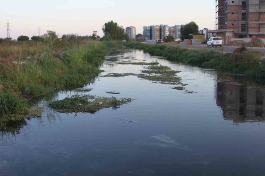 Antalya’da Kanal Kenarında Bulunan Cesedin Kimliği Belli Oldu