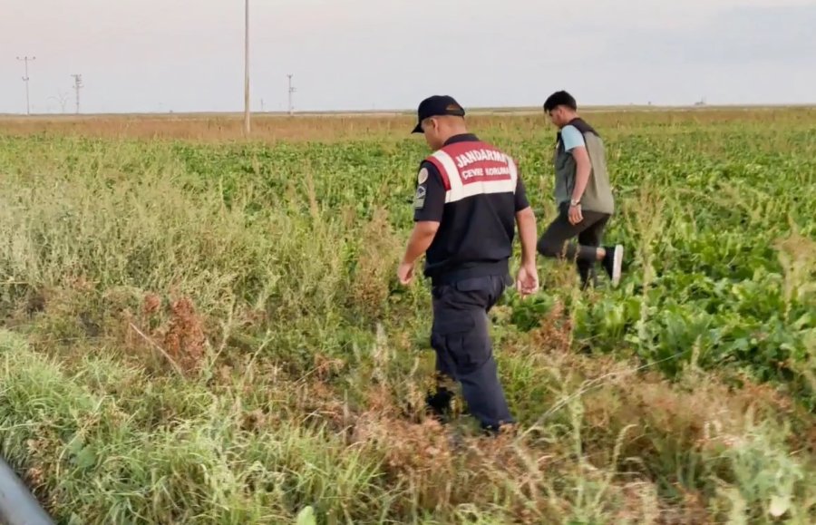 Kaçak Avcılar Jandarmanın Ağına Takıldı