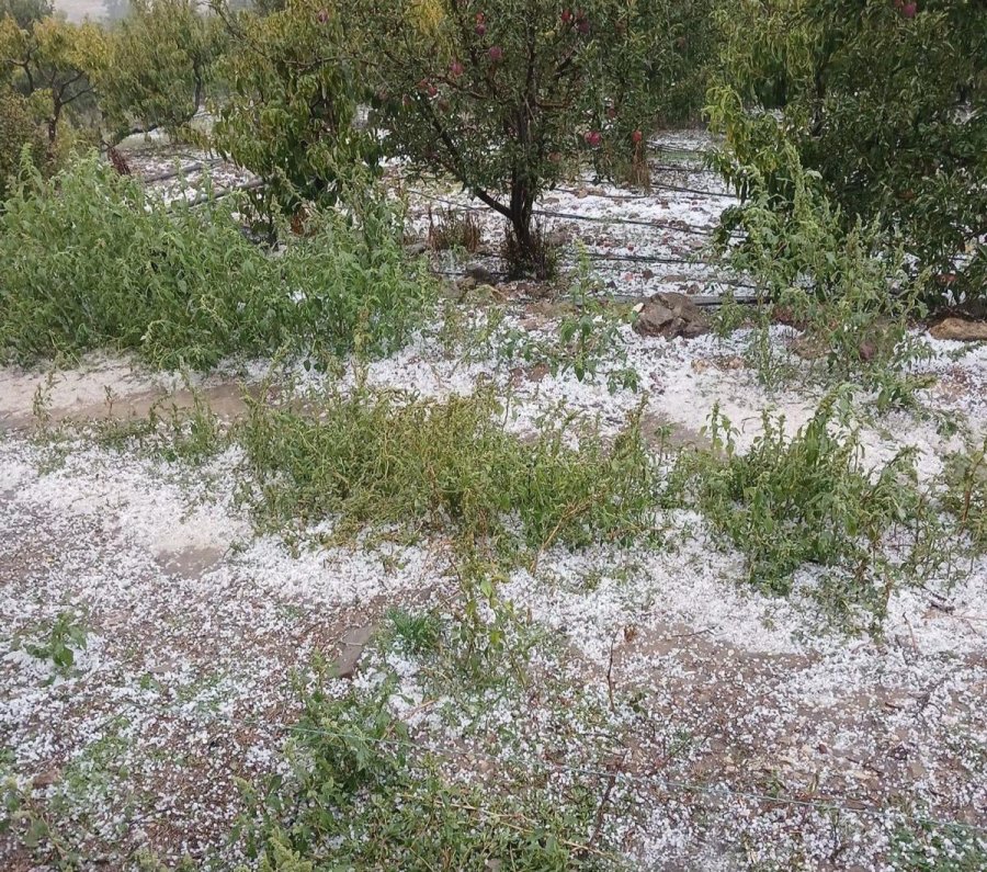 Mersin’de Sağanak Etkili Oldu, Yıldırımın İsabet Ettiği Ağaç Yandı