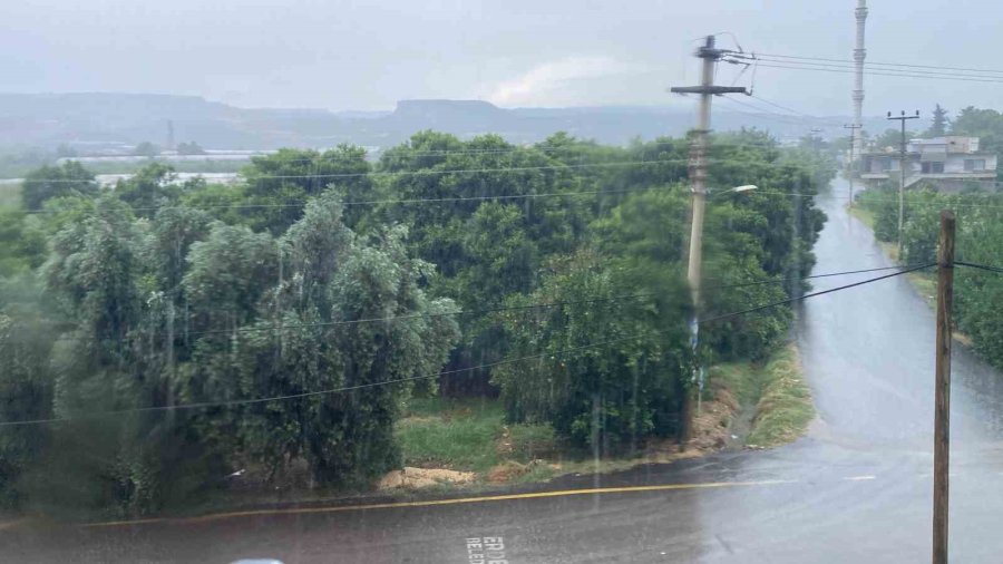 Mersin’de Sağanak Etkili Oldu, Yıldırımın İsabet Ettiği Ağaç Yandı