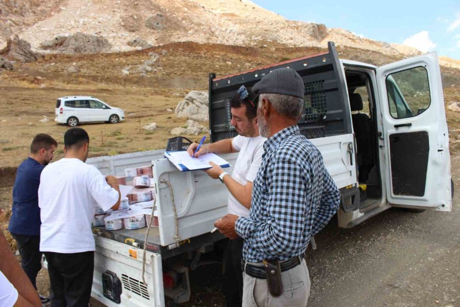 Büyükşehir “çoban Haritası” Çıkarıyor