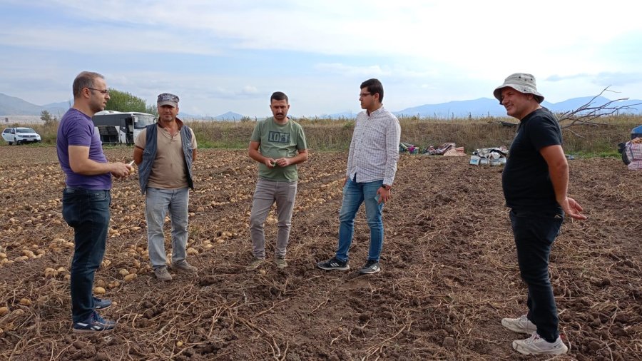 Beyşehir’de Cipslik Patates Üretim Alanlarında Hasat Başladı