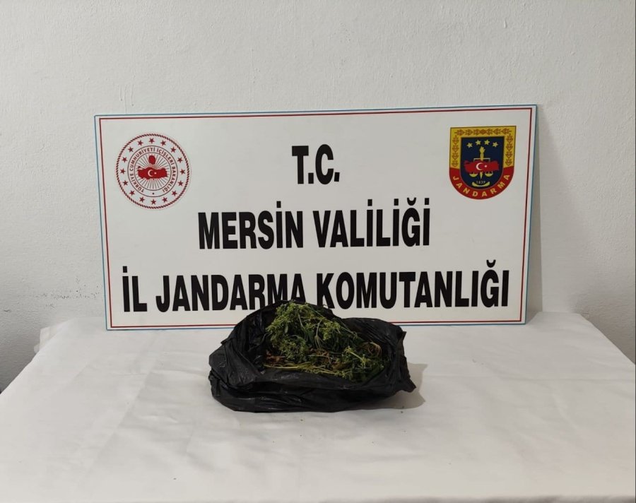 Mersin’de Uyuşturucu Tacirlerine Operasyon: 4 Gözaltı