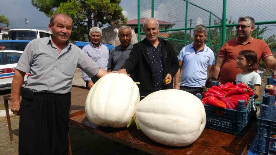 400 Yıllık Yörük Köyünde Gastronomi Şenliği