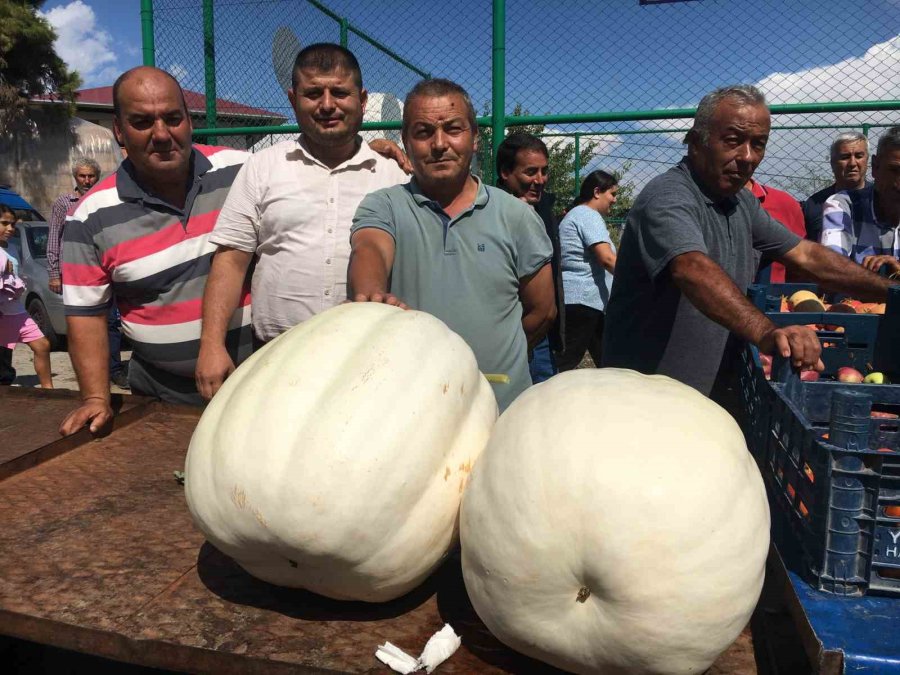 400 Yıllık Yörük Köyünde Gastronomi Şenliği