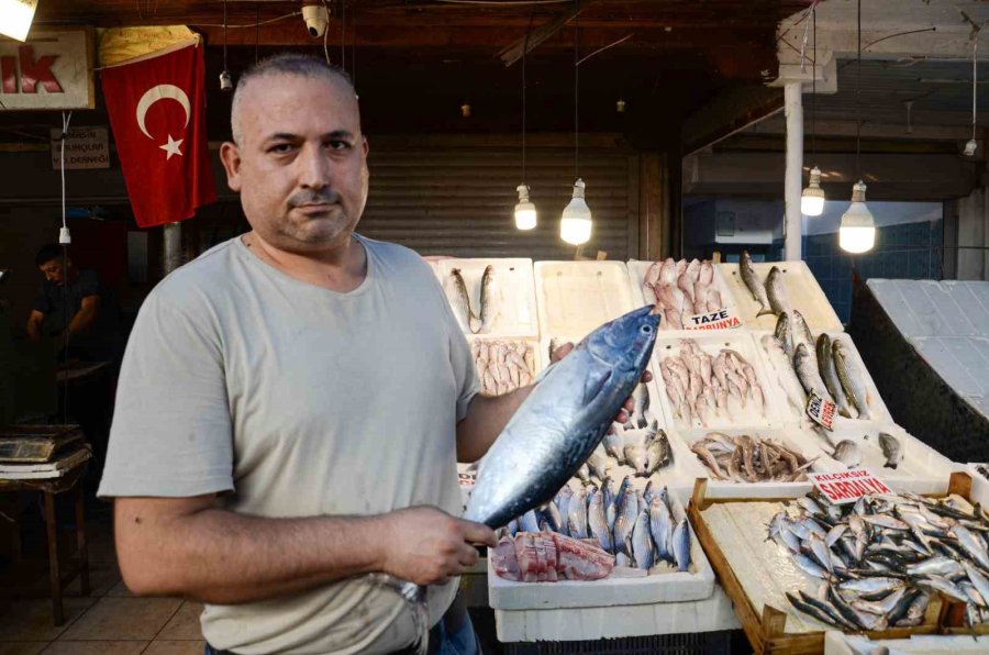 Akdeniz’de Av Yasağının 15 Eylül’de Kalkmasıyla Tezgahlarda Balık Bolluğu Yaşanıyor