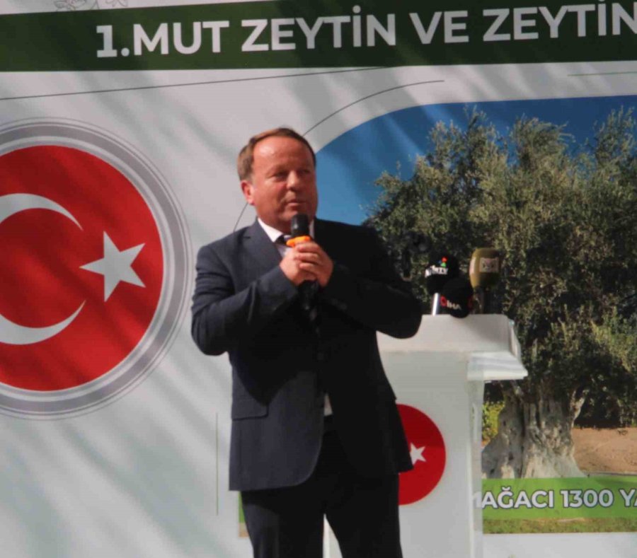 Mut Zeytin Ve Zeytinyağı Festivali Coşkulu Başladı