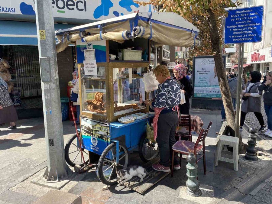 Esnafın Beslediği Ve Terk Edildiği Düşünülen Uysal Kediye Sıcak Bir Yuva Aranıyor