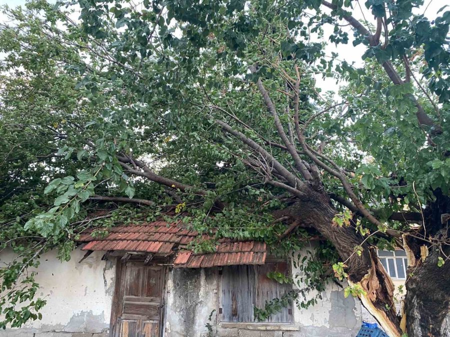 Antalya’da Çıkan Hortum Ev Ve Seralara Zarar Verdi